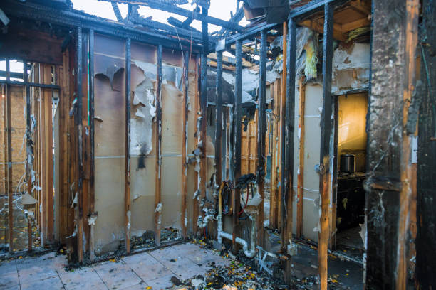Professional Fire Damage Removal technician working in Palos Verdes Estates, CA
